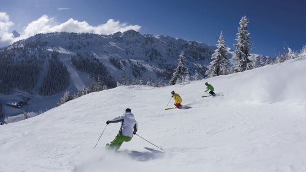 mayrhofen_penken_sk022.jpg